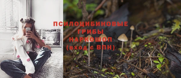 винт Новодвинск