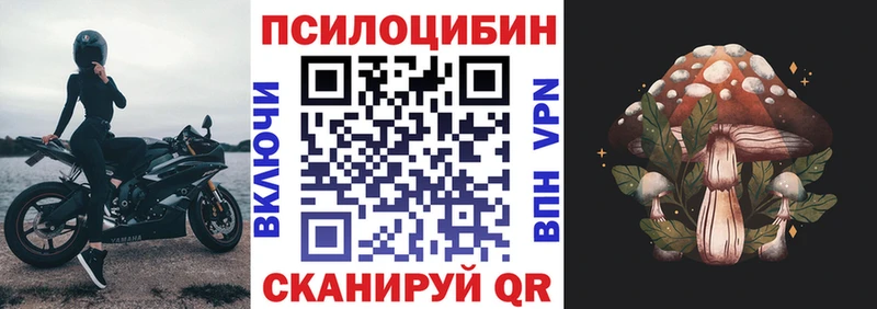 Псилоцибиновые грибы GOLDEN TEACHER  Салаир 